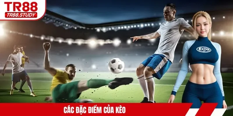 Các đặc điểm của kèo