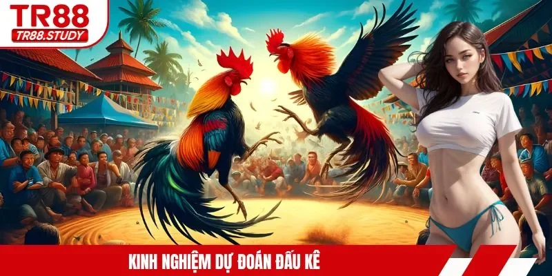 Kinh nghiệm dự đoán đấu kê