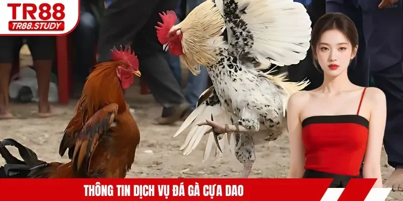 Thông tin dịch vụ đá gà cựa dao